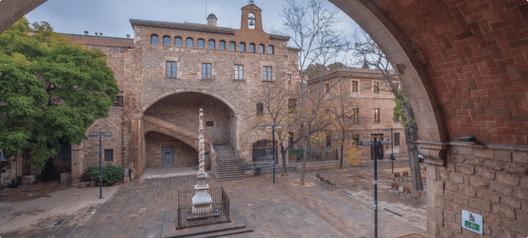 Antic_hospital_de_la_Santa_Creu_de_Barcelona_in_el_Raval,_Barcelona,_Catalonia,_Spain,_2024_January 2 (1)
